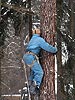 Альпинист лезет на дерево
